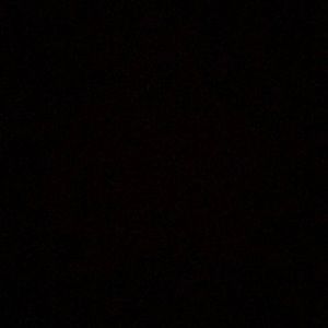 Meet your Posher, Cheyenne